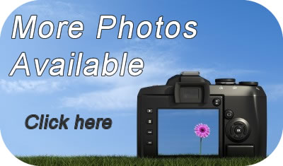 Book Tyglyn Vale Meadow online